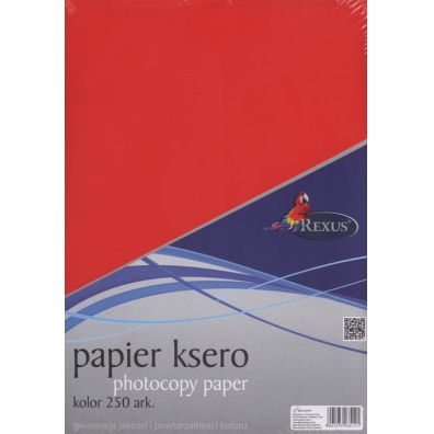 Beniamin Papier ksero A4 250 kartek