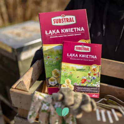 Substral Mieszanka nasion ka Kwietna 800 g