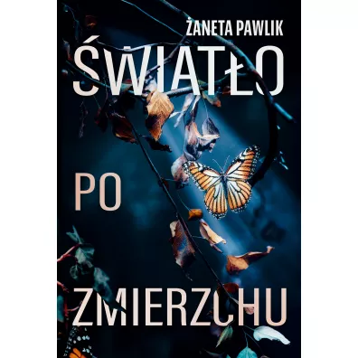 wiato po zmierzchu - aneta  Pawlik