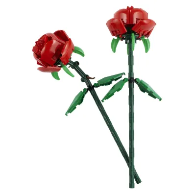 LEGO Botanicals R�e 40460