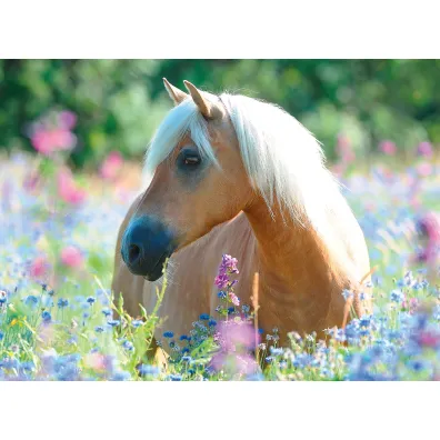 Puzzle 300 el. Ko� Ravensburger