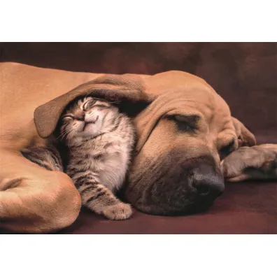 Puzzle 500 el. Cuddles Clementoni