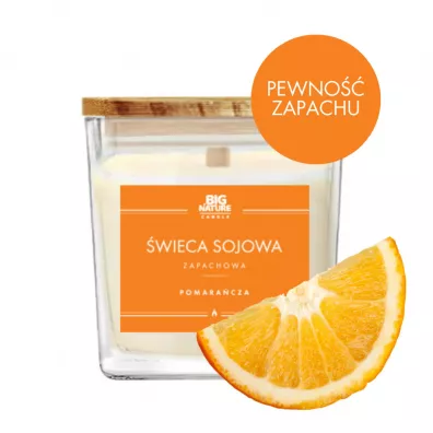 Big Nature wieca sojowa zapachowa Pomaracza 205 g