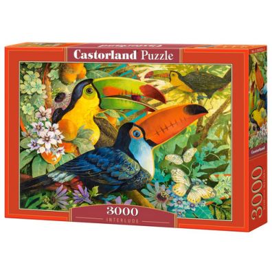 Puzzle 3000 el.  Interlude Castorland