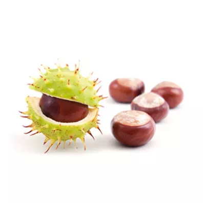 Nikel Krem pod oczy rozja�niaj�cy z kasztanowcem 15 ml