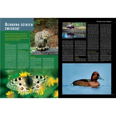 Ilustrowana encyklopedia zwierz�t i ro�lin Polski
