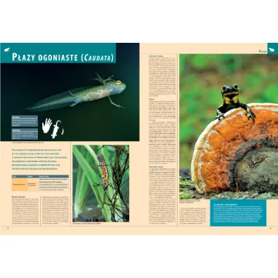 Ilustrowana encyklopedia zwierz�t i ro�lin Polski