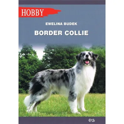 Border collie - Ewelina Budek