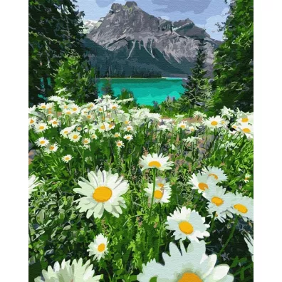Twoje Hobby Malowanie po numerach - Rumianki w g�rach 40x50cm