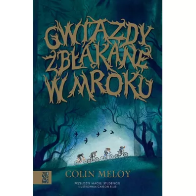Gwiazdy zbkane w mroku - Colin Meloy