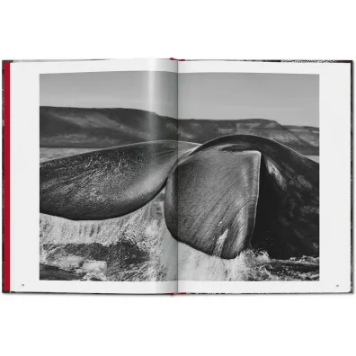 Sebastiao Salgado. Genesis wer. angielska