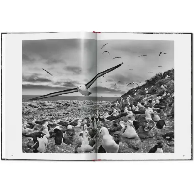 Sebastiao Salgado. Genesis wer. angielska