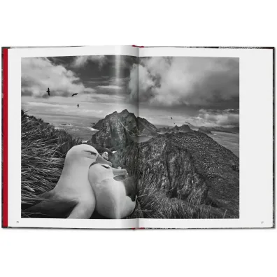 Sebastiao Salgado. Genesis wer. angielska