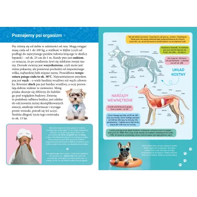 Ksi��ka edu. B5 Ma�a encyklopedia. Psy SKRZAT 077315