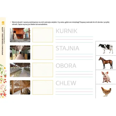 Spotkania z porami roku Lato materia�y dla uczni�w z niepe�nosprawno�ci� intelektualn�
