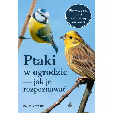 Ptaki w ogrodzie ? jak je rozpoznawa - Daniela Strauss