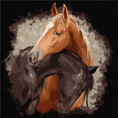 Ideyka Malowanie po numerach - Pe�ne wdzi�ku pi�kno 40x40cm