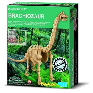 Wykopaliska - Brachiosaurus 4M