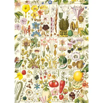 Puzzle 1000 Botaniczna rozkosz 113715 Gibsons