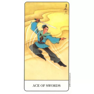 The Chinese Tarot, karty do wr�enia