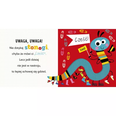 Uwaga! Paj�k