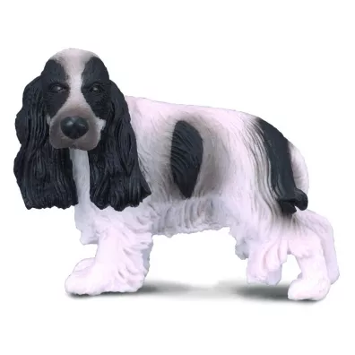 Pies cocker spaniel angielski