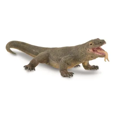 Waran z komodo