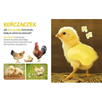 Pog�aszcz Zwierz�tko Przytulki
