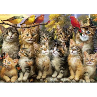 Puzzle 500 Koci�ta i Ptaki 113395 Educa