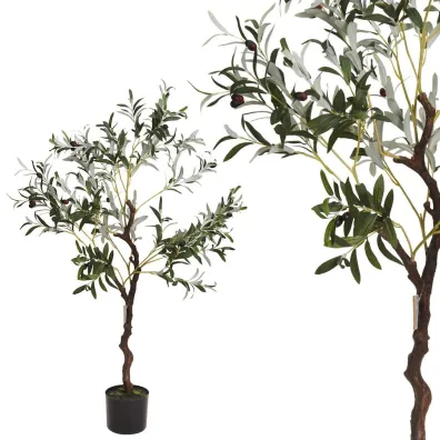 ProGarden Oliwne drzewko w donicy du�e 120 cm