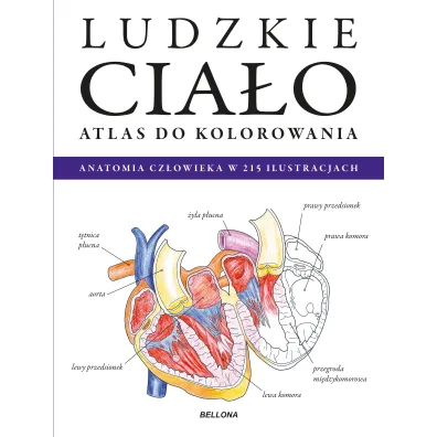 Ludzkie cia�o. Atlas do kolorowania