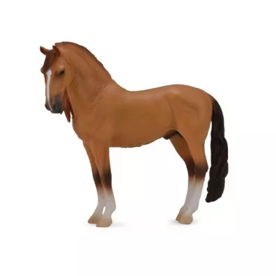 Ko Campolina Stallion Red Dun