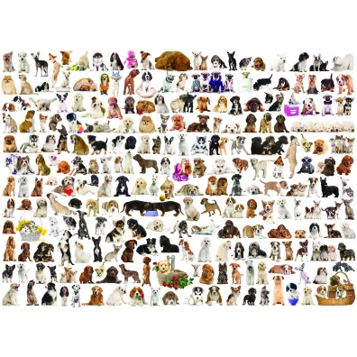 Puzzle 1000 el. �wiat ps�w Eurographics