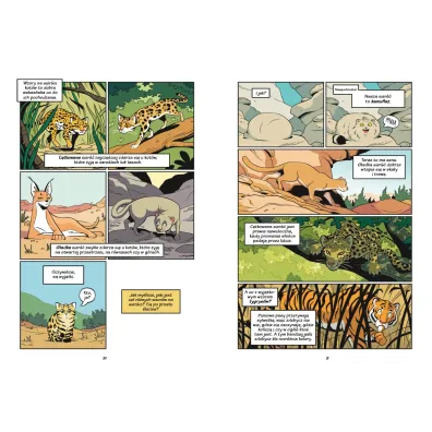 Koty - natura i wychowanie. Naukomiks