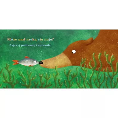 Rok w lesie. Nied�wied�