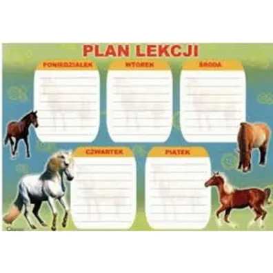Polsyr Plan lekcji A4 kartonowy mix