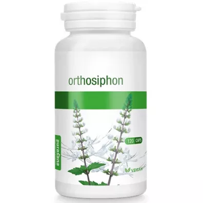 Purasana Skrzyp polny (250 mg) Suplement diety 120 kaps. Bio