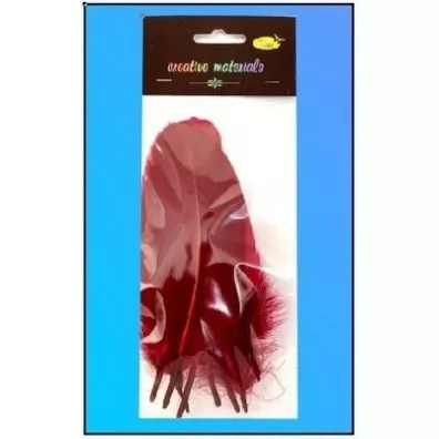 Galeria Hobby Pi�rka twarde bordowe 10 szt.