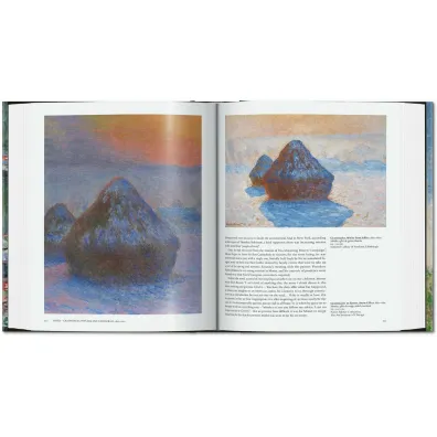 Monet. The Triumph of Impressionism wer. angielska