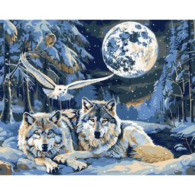 Ideyka Malowanie po numerach - Drapie�niki i m�dro�� 40x50cm