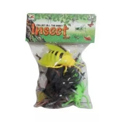 Insekty