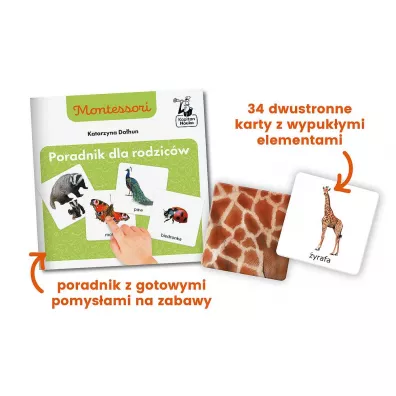 Montessori. Zwierz�ta tu i tam. Karty sensoryczne z ksi��eczk�. Kapitan Nauka