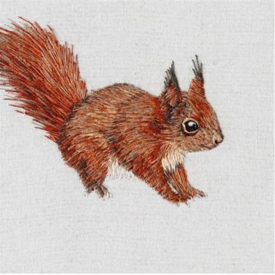 Museums & Galleries Karnet kwadrat z kopert Red Squirrel