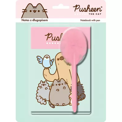 St. Majewski Notes B5 z dugopisem Pusheen linia 40 kartek