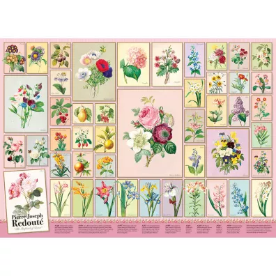 Puzzle 1000 el. Pierre-Joseph Redoute Cobble Hill