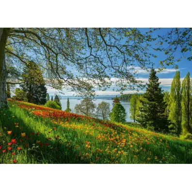 Puzzle 1000 el. Wyspa kwitn�cych tulipan�w Schmidt