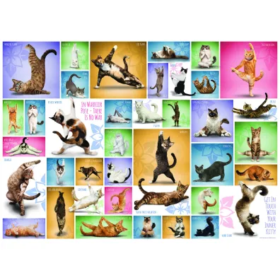 Puzzle 1000 el. Joga koty Eurographics
