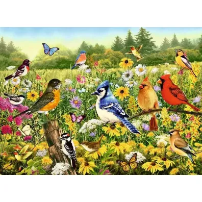 Puzzle 500 el. 2D Ptaki Ravensburger