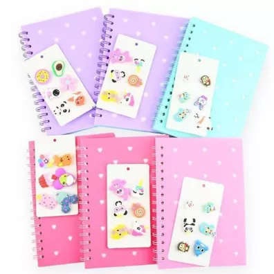 Robe Notes na spirali z przypinkami MIX