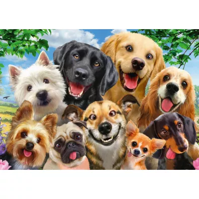 Puzzle 500 el. Psy robi selfie Schmidt